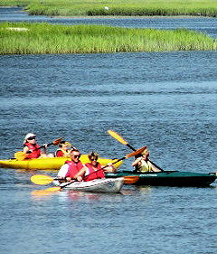 hilton head kayaking