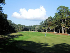 palmetto dunes hilton head